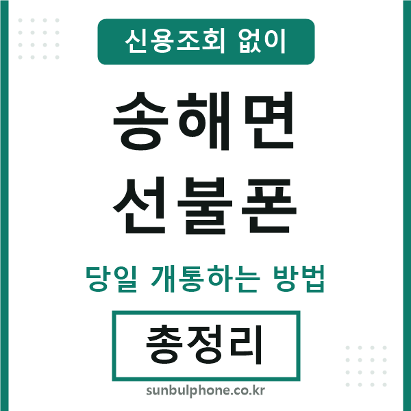 송해면선불폰