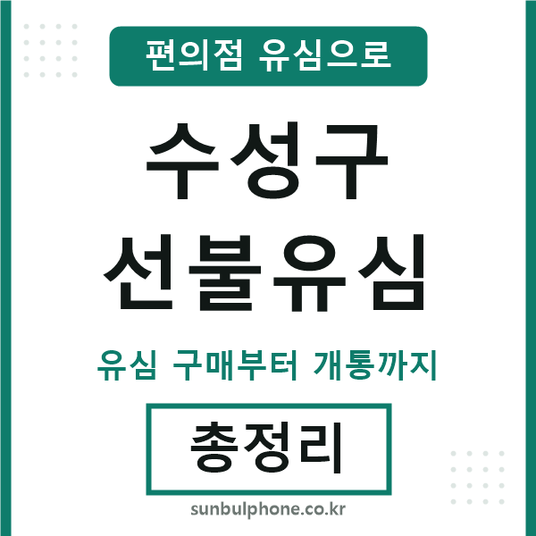 수성구선불유심