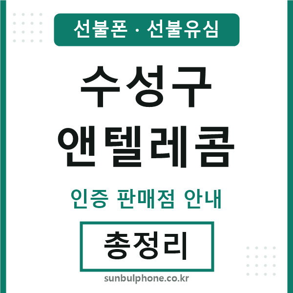 수성엔텔레콤