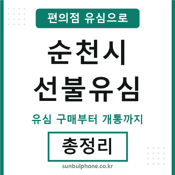 순천선불유심