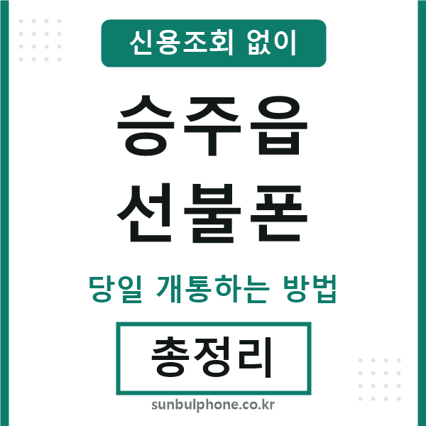 승주읍선불폰