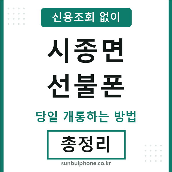 시종면선불폰