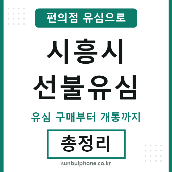 시흥선불유심