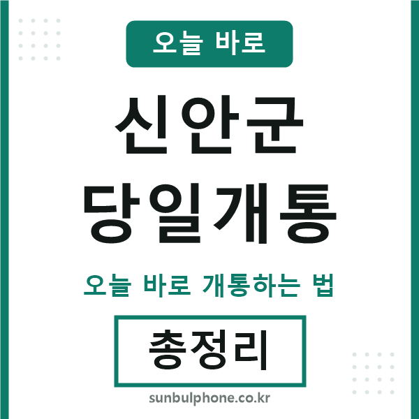 신안군 당일개통