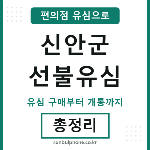 신안군선불유심