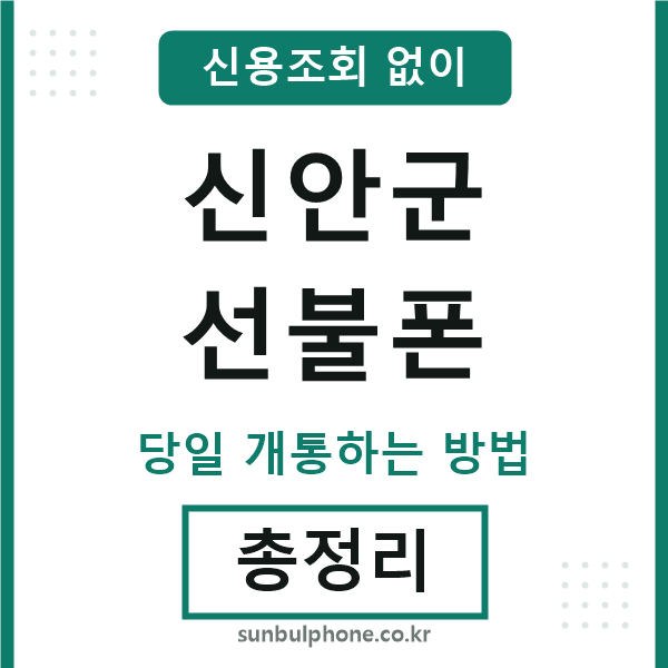 신안군선불폰