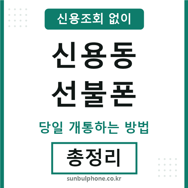 신용동선불폰