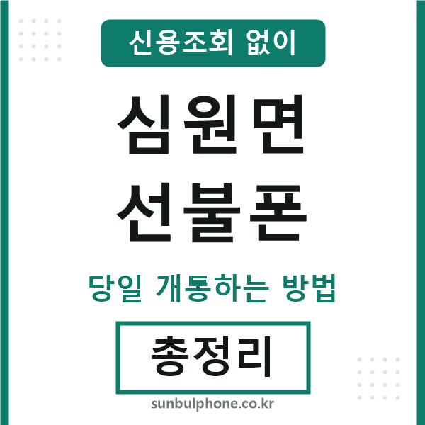 심원면선불폰
