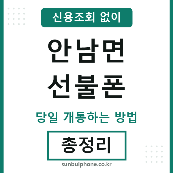 안남면선불폰
