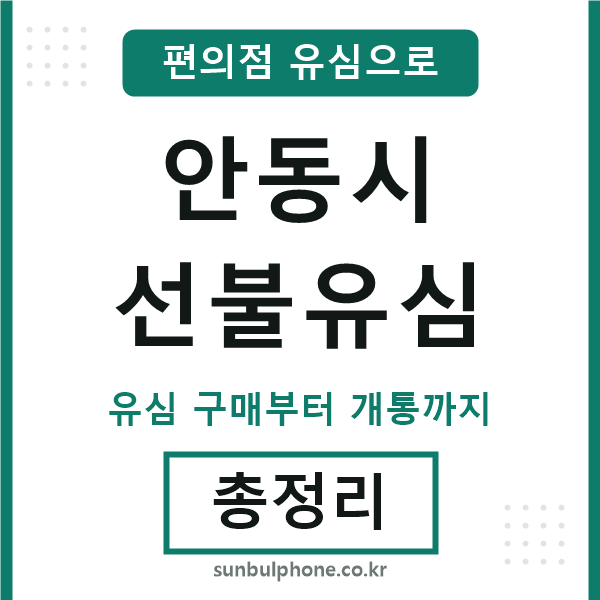 안동시선불유심