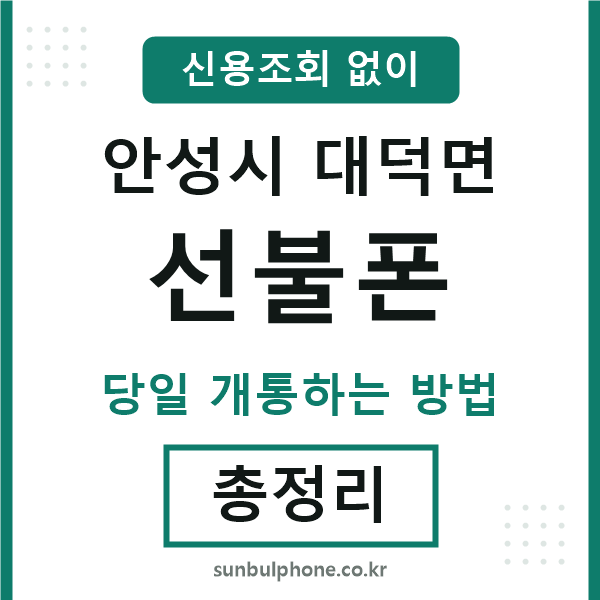안성시대덕면선불폰