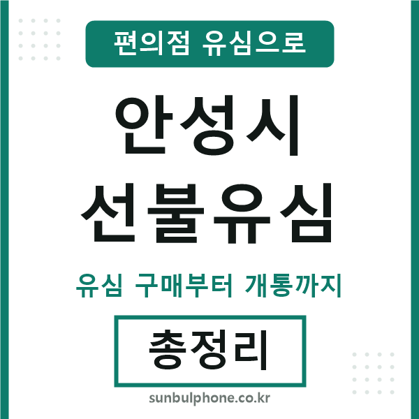 안성시선불유심