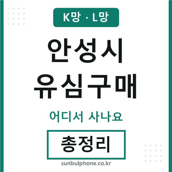 안성시 유심구매
