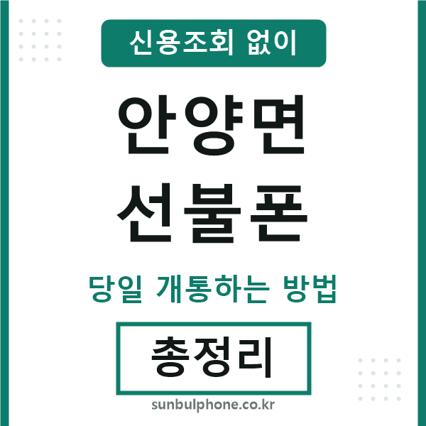안양면선불폰