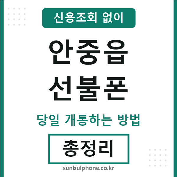 안중읍선불폰