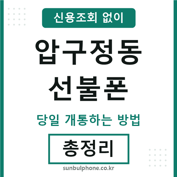 압구정동선불폰