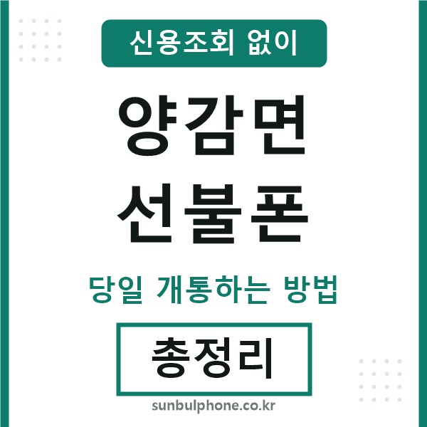 양감면선불폰