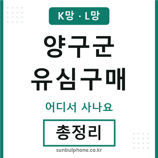 양구군 유심구매