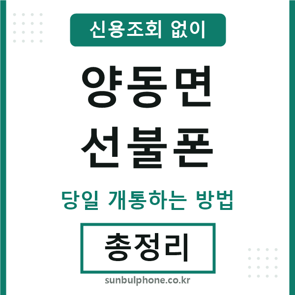 양동면선불폰