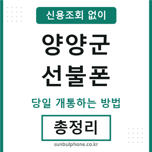 양양군선불폰