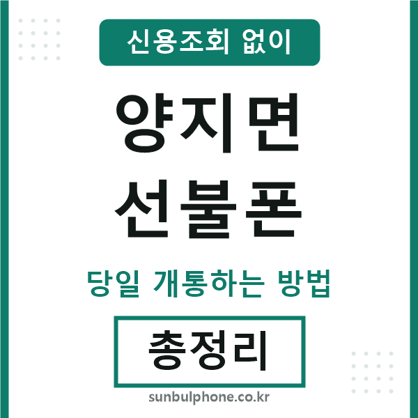 양지면선불폰