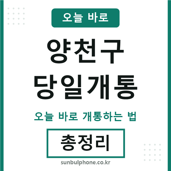 양천 당일개통