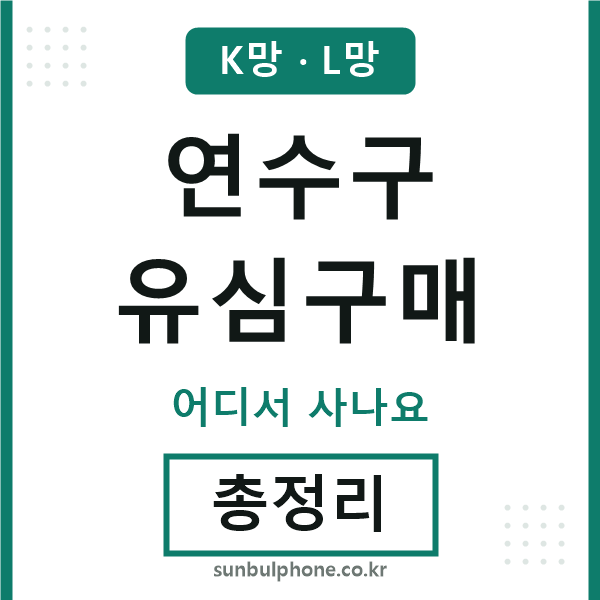 연수 유심구매