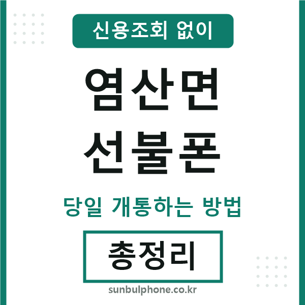 염산면선불폰