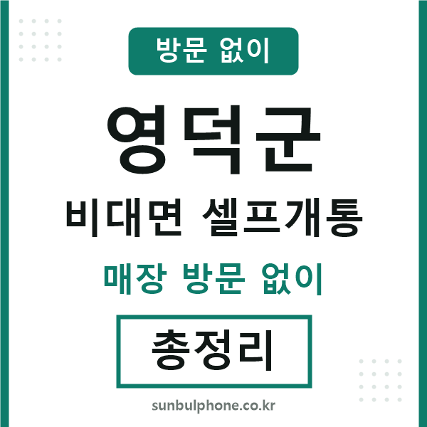 영덕 비대면 셀프개통