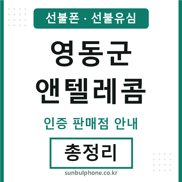 영동엔텔레콤