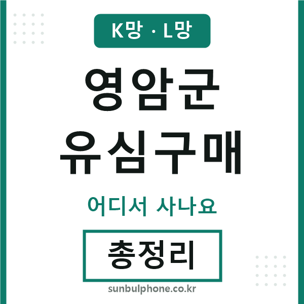 영암 유심구매