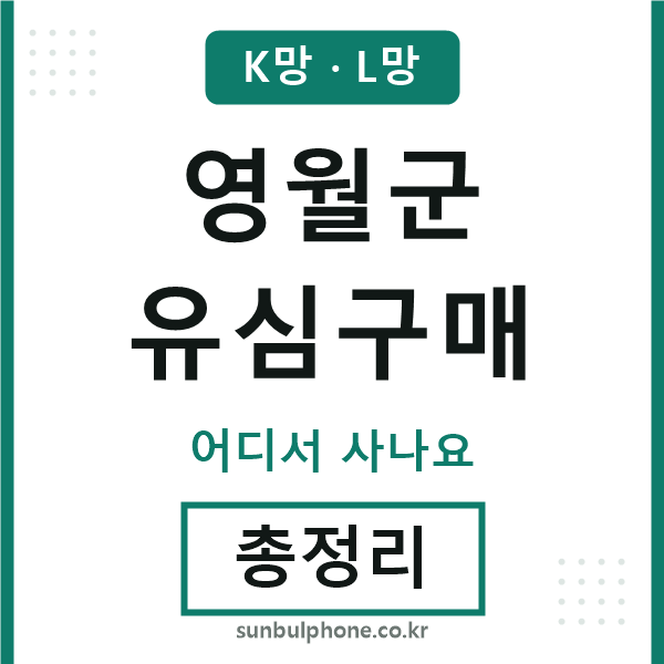 영월군 유심구매