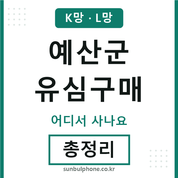 예산 유심구매