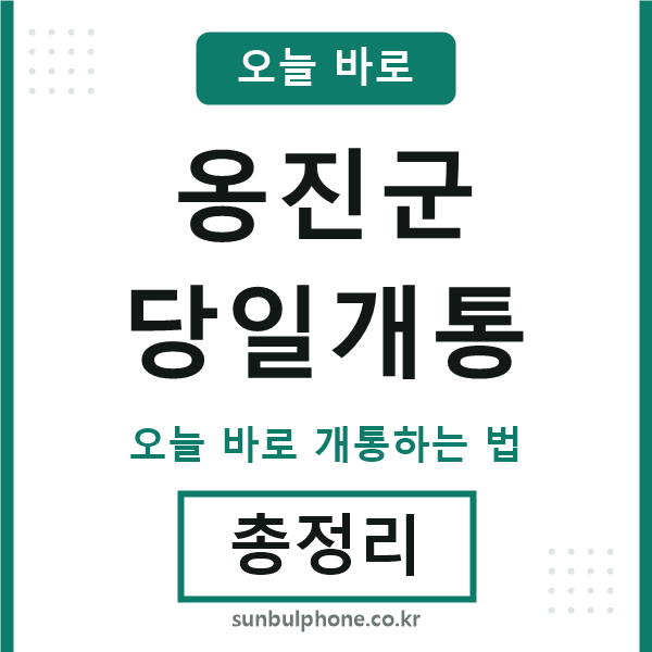 옹진군 당일개통