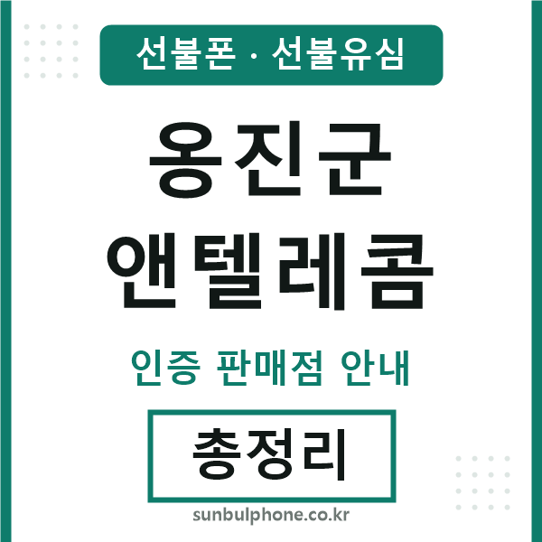옹진군엔텔레콤