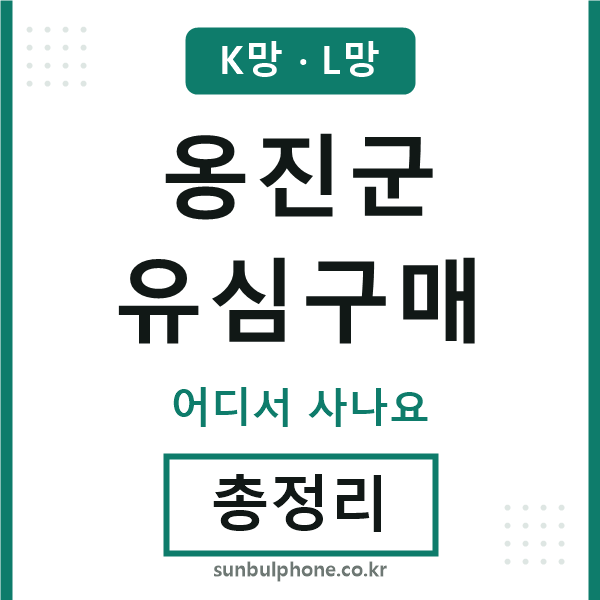 옹진 유심구매