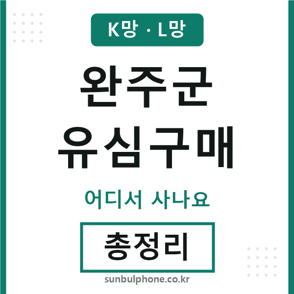 완주 유심구매