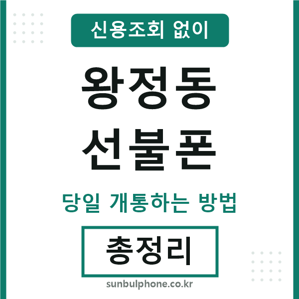 왕정동선불폰