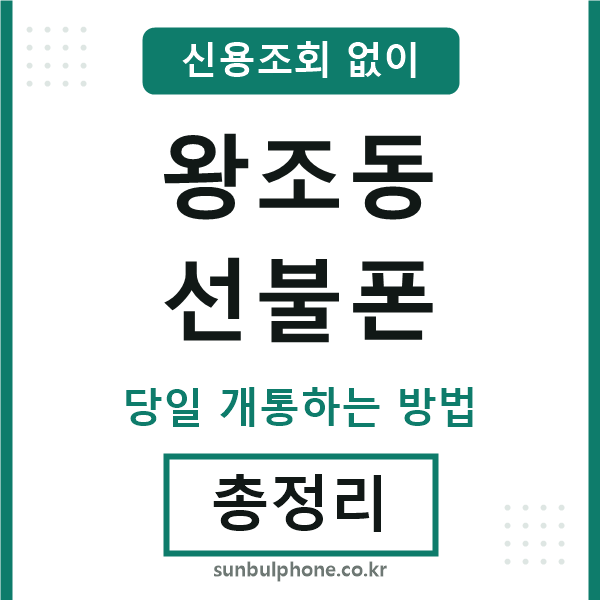 왕조동선불폰