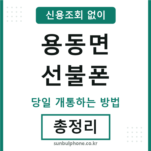 용동면선불폰
