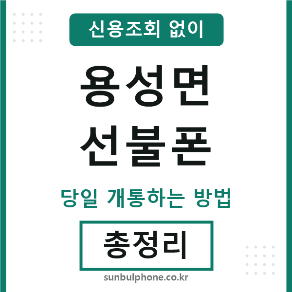 용성면선불폰