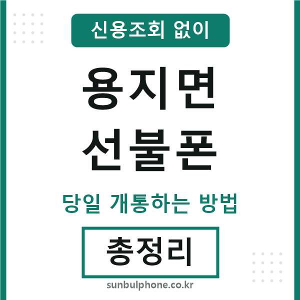 용지면선불폰