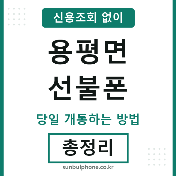 용평면선불폰