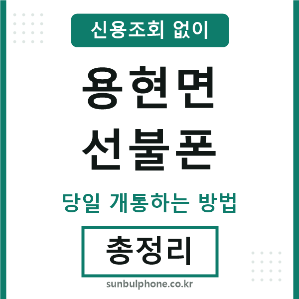 용현면선불폰