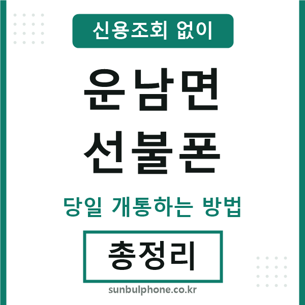 운남면선불폰