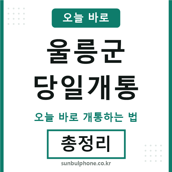울릉군 당일개통