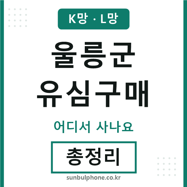 울릉 유심구매