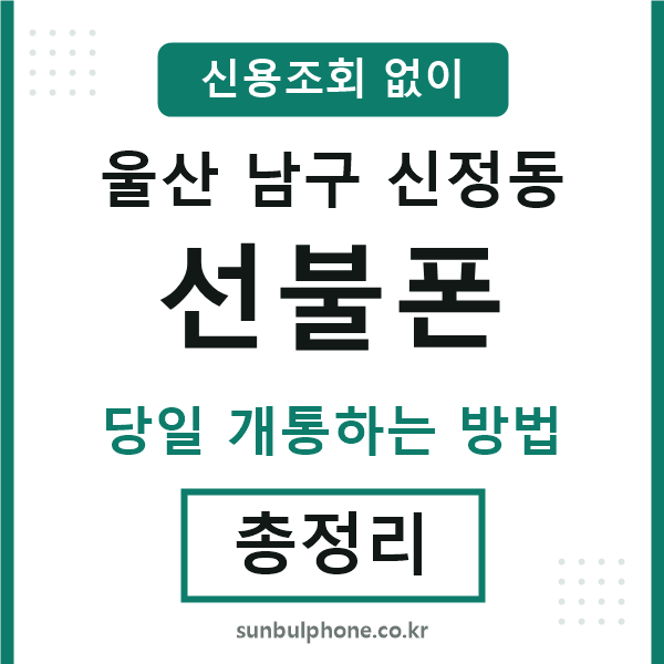 울산남구신정동선불폰
