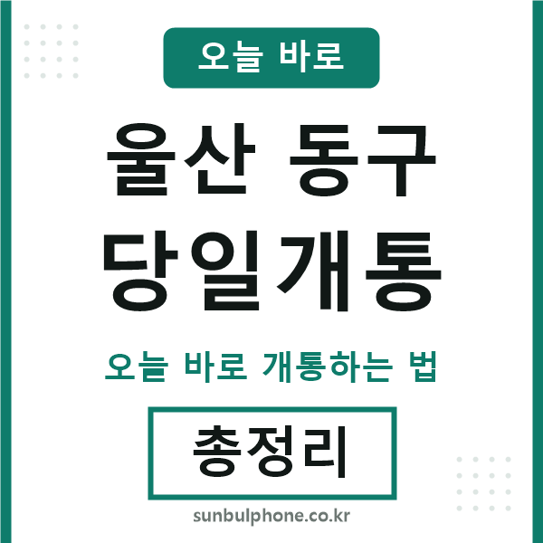 울산동구 당일개통