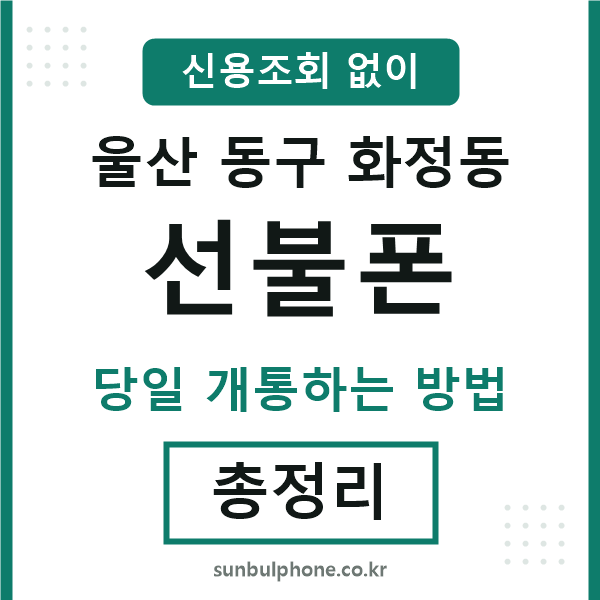 울산동구화정동선불폰